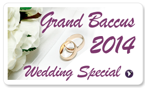 promotion_wedding_2014